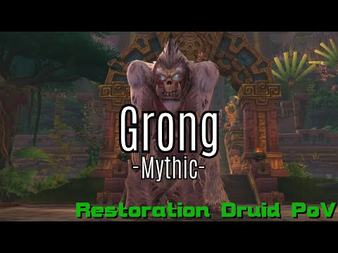 Fidelitas Essentia vs Grong Mythic(Resto Druid PoV)