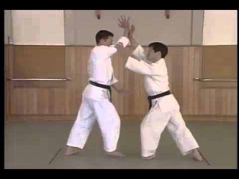 Shomen uchi sokumen irimi nage ni mp4