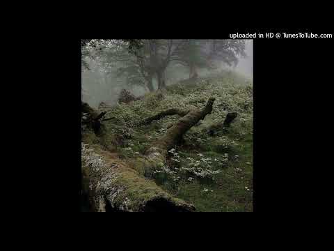 [free] marlon dubois x joeyy x ambient type beat "broken" (prod. mingus)