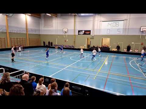 Nibacos T14  - Bluefox valkoinen 25.3.2023