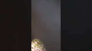 Sizzling Hot Beauty on Beach TikTok BLOW THE HOUSE DOWN! ??? #Shorts