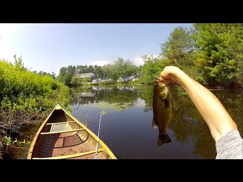 Fishing Off a Canoe in a Retention Pond???