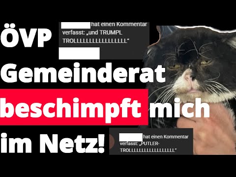 A local councilor from Lower Austria insulted me, calling me a 'Putler troll' – My response