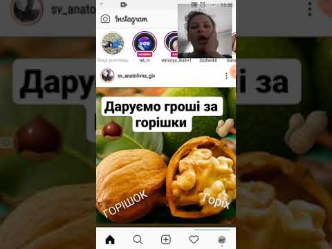 Підписників в Instagram безкоштовно