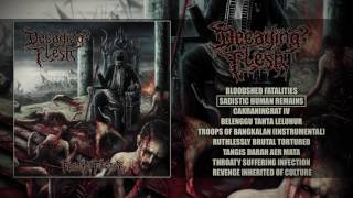 DECAYING FLESH - BLOODSHED FATALITIES (FULL ALBUM PREMIERE 2017) [SWALLOW VOMIT PRODUCTIONS]