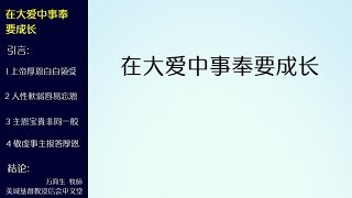 2017-06-11: 在大爱中事奉要成长 - 万海生牧师