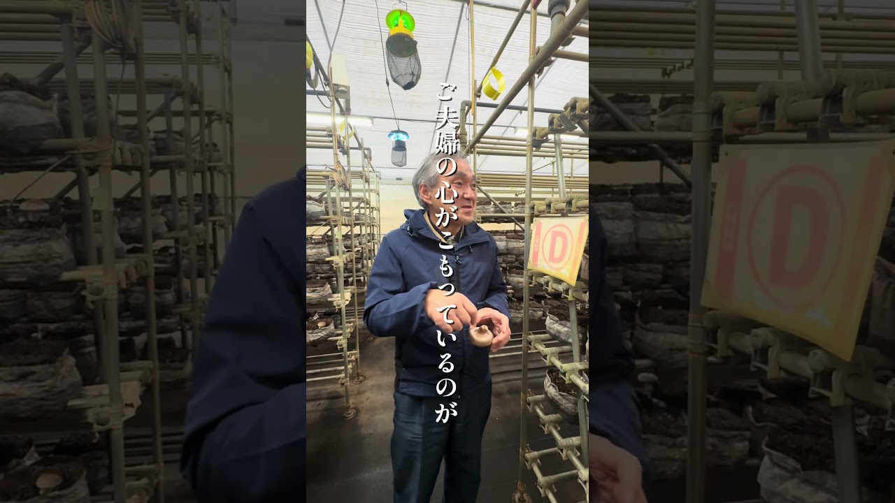 【岩手グルメ】夫婦の愛がこもった肉厚すぎるしいたけ