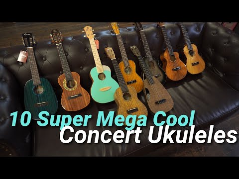 10 Super Mega Cool CONCERT UKULELES at SUS