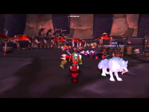 World of Warcraft 60 Orc hunter getting it while lvlin outlands dungon