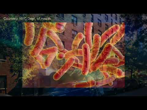 Hell’s Kitchen Legionnaires