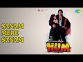 सनम मेरे सनम Hum Alka Yagnik Amit Kumar Songs Govinda Shilpa Shirodkar