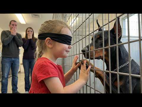 Blind Girl Adopted This Doberman… 3 Seconds Later He Saved Her Life 💔🐶