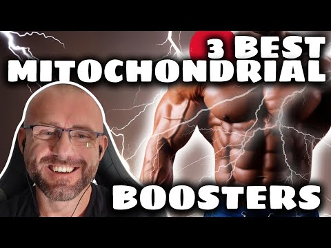 The Top 3 Mitochondrial Enhancers You Should Be Using To Get Shredded And Feel Good