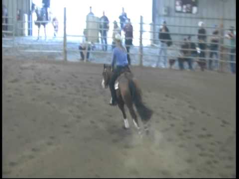 Gunner Dunit Right - 2013 RHANW Open Futurity Champion