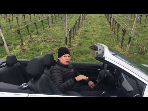 BMW 230i Cabrio - Kompakt, offen und kraftvoll - 2018
