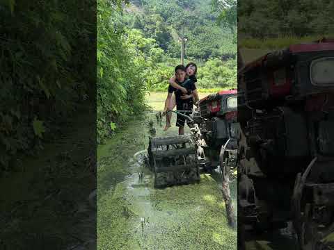 Video funny #funny