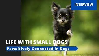 Life with Small Dogs