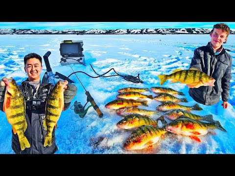 Ice Fishing Jumbo Perch in Saskatchewan (Catch &amp; "Cook")