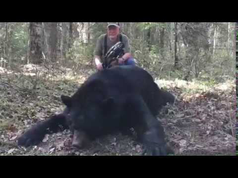 download lagu mp3 mp4 Best Bear Outfitters Alberta, download lagu Best Bear Outfitters Alberta gratis, unduh video klip Best Bear Outfitters Alberta