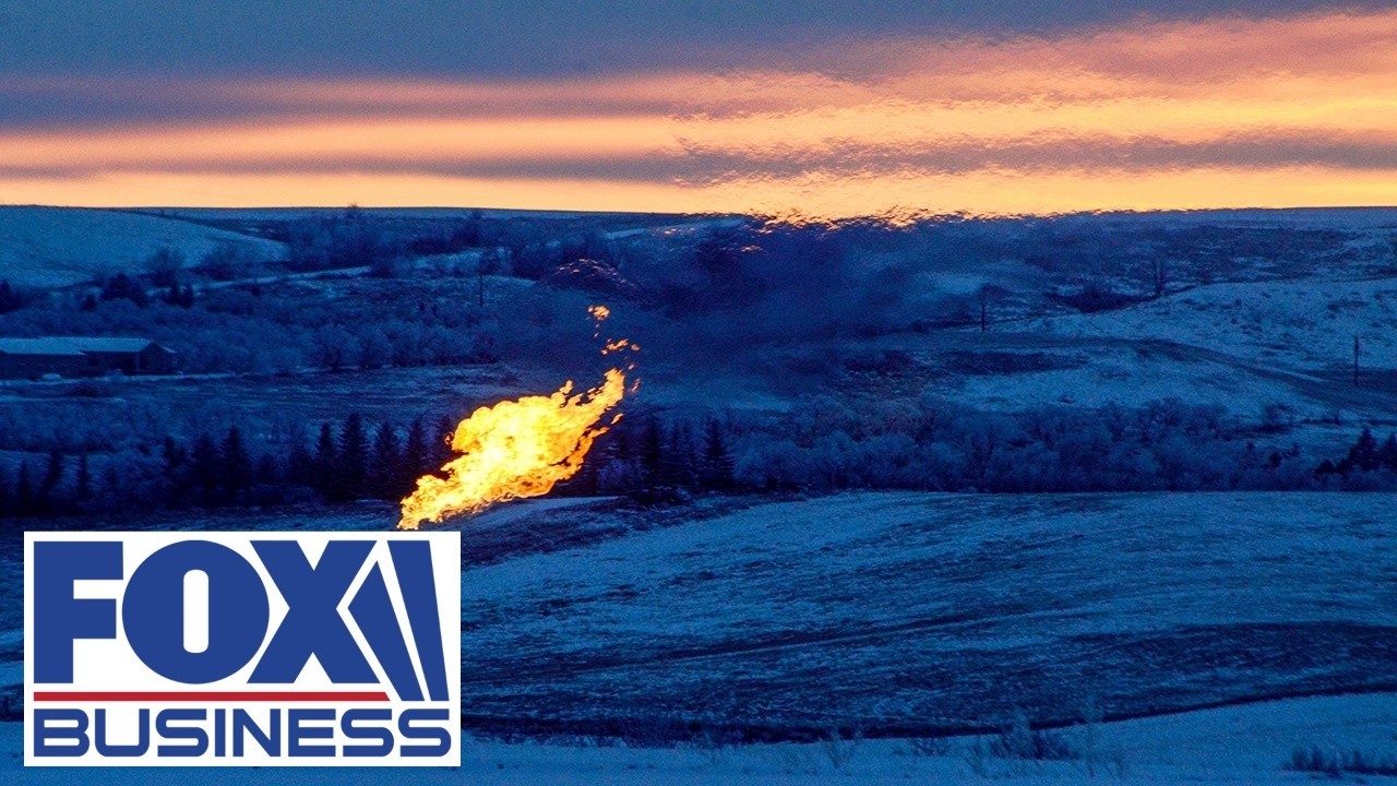 You can build some ‘AMAZING’ economies with this, CEO argues