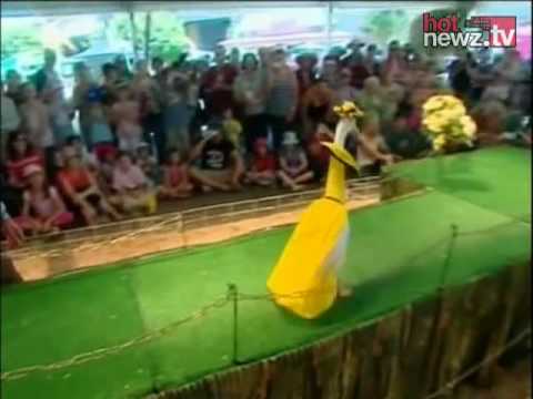 Are You Freaking Kidding Me!? Duck Fashion Show
