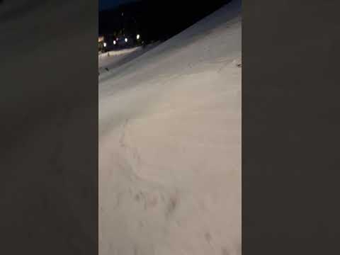 Partia Bradul Poiana Brașov