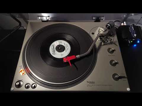 "Pushin' Too Hard" - The Seeds [GNP Crescendo, 1966] [MONO] 45 RPM Vinyl rip