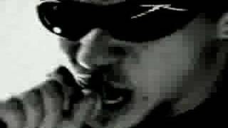 Raimundos &quot;Palhas do Coqueiro&quot; - direção Kiko Araujo