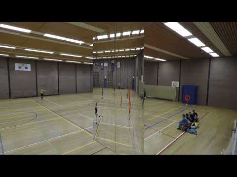 Holz ZVC 4  - De Hazendans / ODV 4