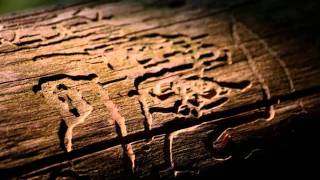 micronaut - oberflächen[nore009]