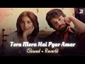 Tera Mera Hai Pyar Amar Slowed Reverb Ishq Murshid OST Ahmed Jahanzeb Zesan Rahaman