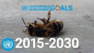Red Alert - How to meet the Sustainable Development Goals together | SDG Moment | United Nations