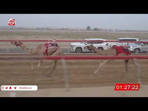  ش 6 (شاهين) لـ سعيد سليم بالاسود العامري 3:02 ، شارة الصندوق 2026/08/24 فطامين سويحان