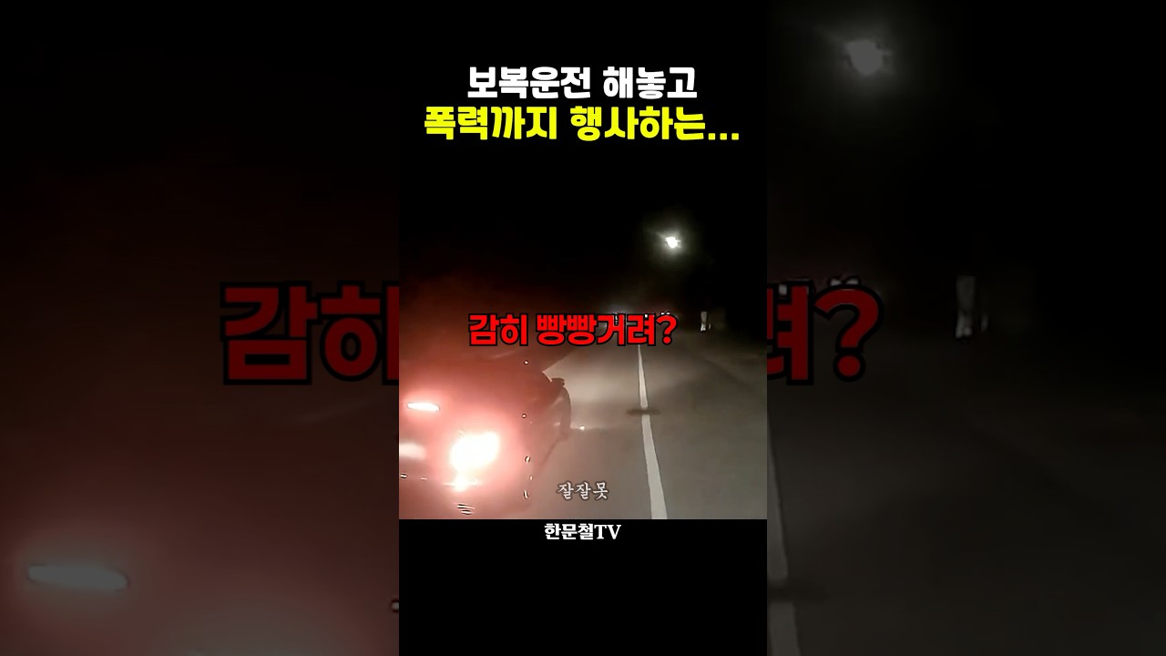 잃을게 없어보이는 보복운전자