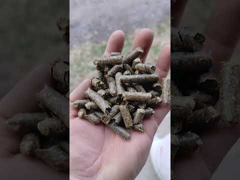 фото витаминно-травяная мука (втм) 0