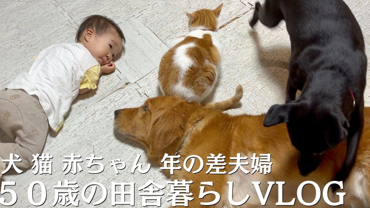 YouTubeサムネイル