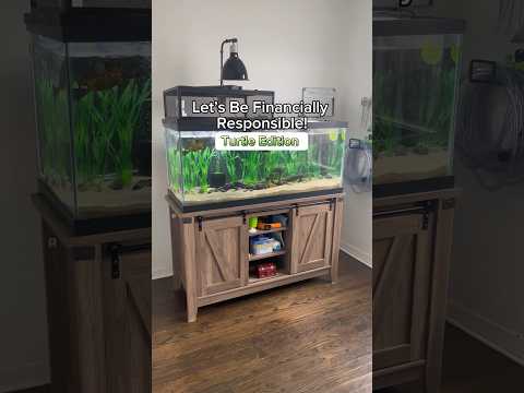 TURTLE TANKS ARE EXPENSIVE $$$ #petturtle #turtletank #redearedslider