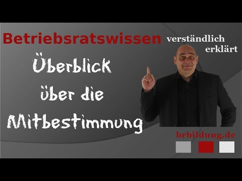 Mitbestimmung des Betriebsrates - Ein Überblick
