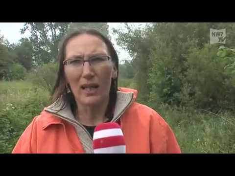 Die Kräuterfrau von Berne