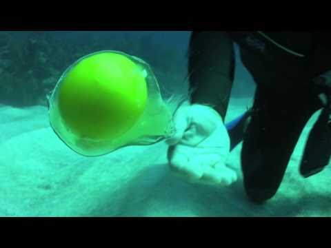 What happens when you crack an egg underwater