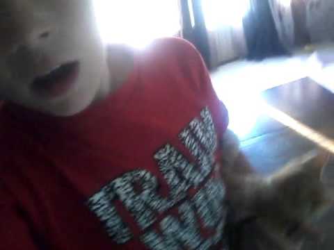 The awesomest cat fight Darien mate