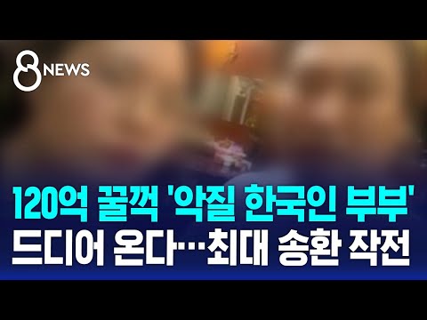 '120억 캄보디아 스캠' 부부 한국 온다…최대 송환 작전