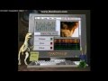 Disney S DINOSAUR Audio Mix Demonstration Dialogue