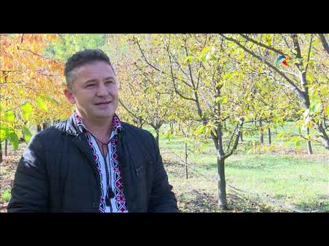 Marius Cătălin ŞOARECE, investitor Comuna Stroeşti, Vâlcea - Investiți în România!, 5.04.2022, TVRi