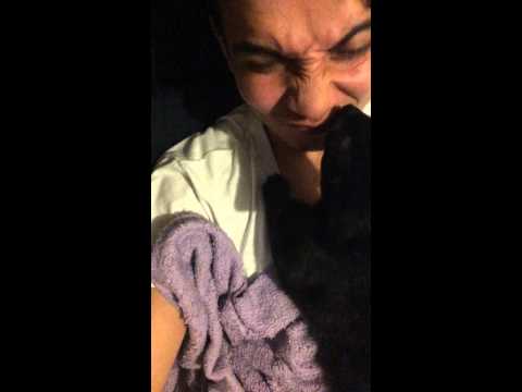 every night I come home to this