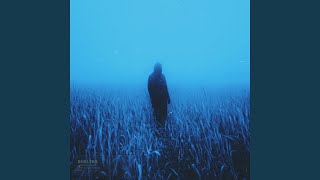 Download lagu shelter mp3 Download lagu shelter mp3