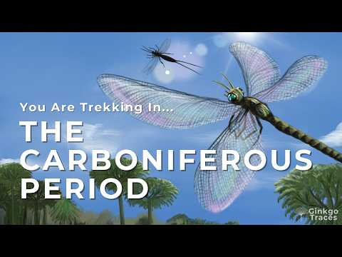 You Are Trekking in The Carboniferous Period
