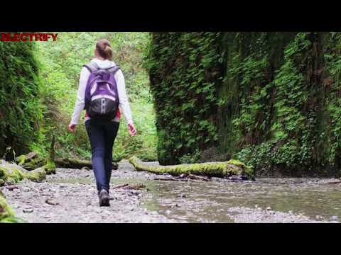 IAN COLEEN FEAT.  THE BOBBY & ZEROL - SUMMER THIS LOVE ( Electrify Video Extendet )