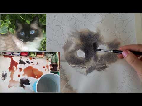 How to Paint a Ragdoll Cat  with Watercolor - Part 1 -   Painting -  Mask +  First Wash - Loose Cats