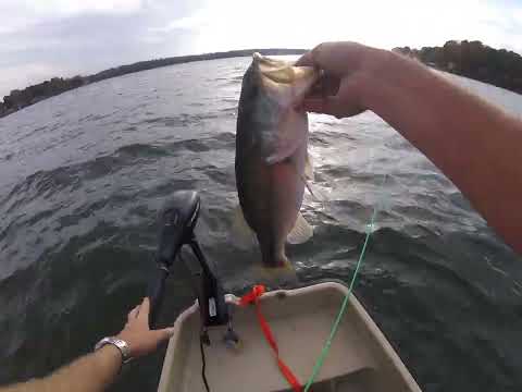 Heavy wind=jig bass!